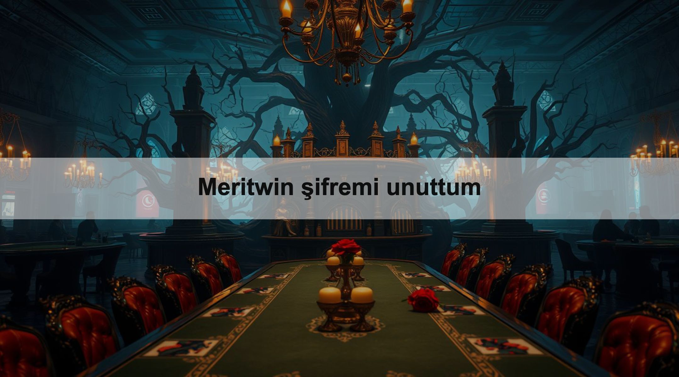 Meritwin şifremi unuttum