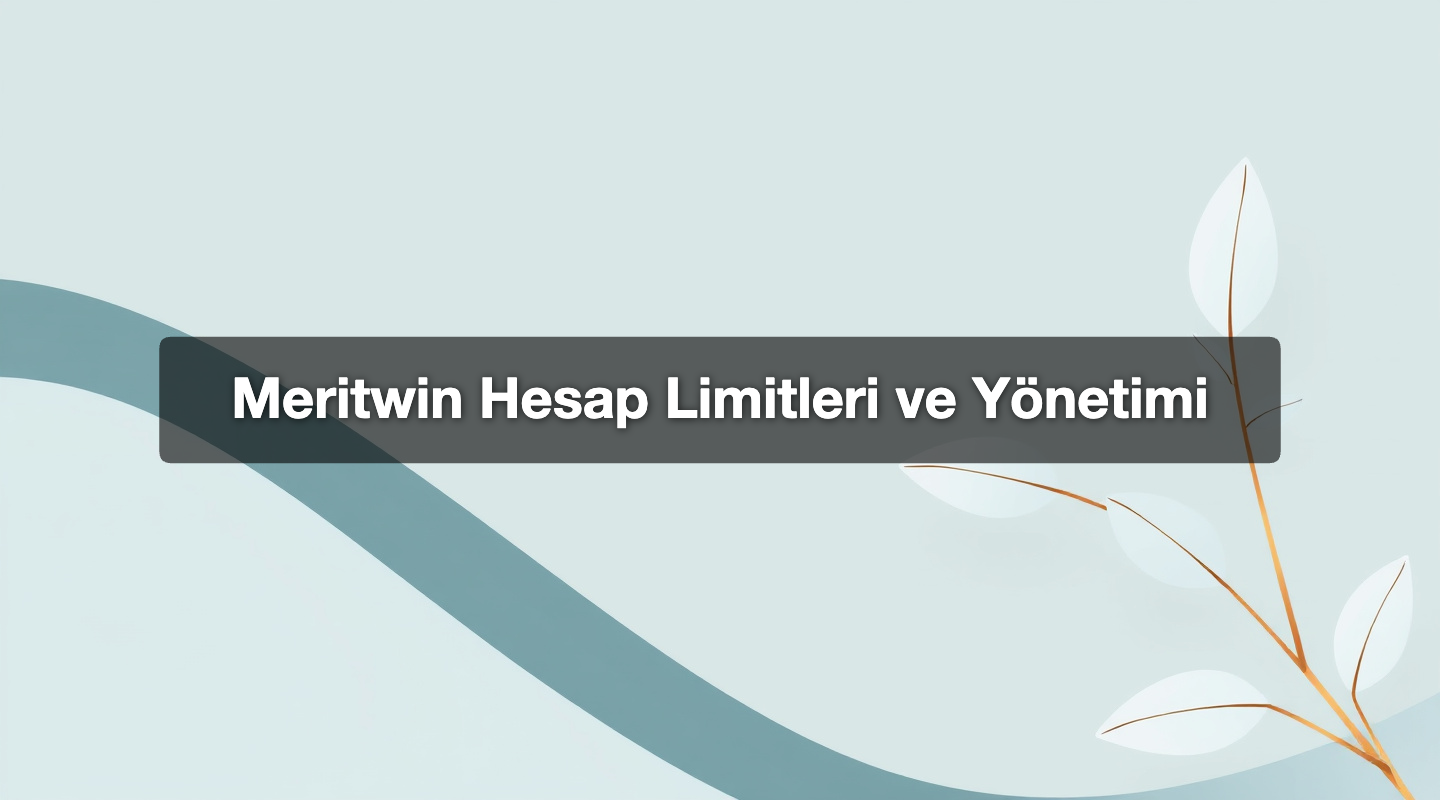 Meritwin Hesap Limitleri ve Yönetimi